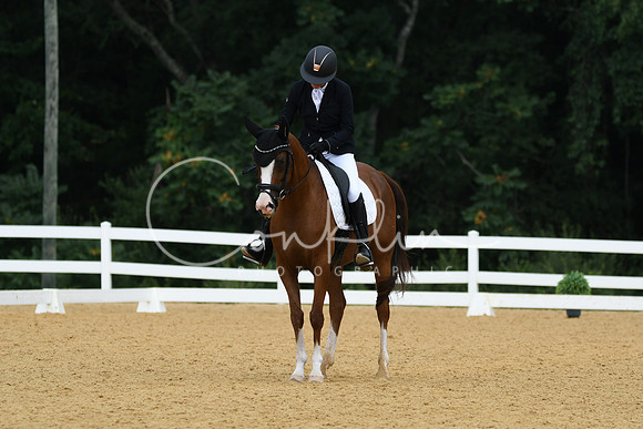 HSM_1091