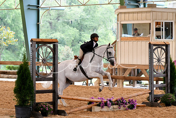 HSM_5917-1
