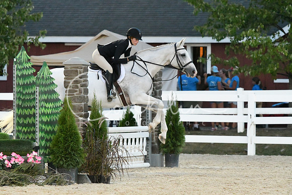HSM_0510