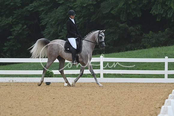 HSM_0645