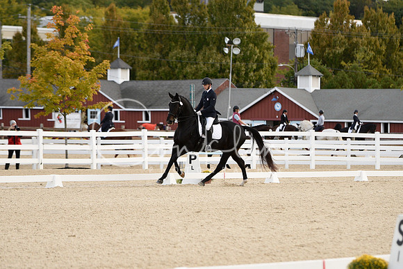 _MDS5812