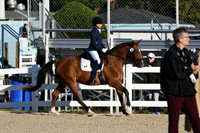HSM_4272