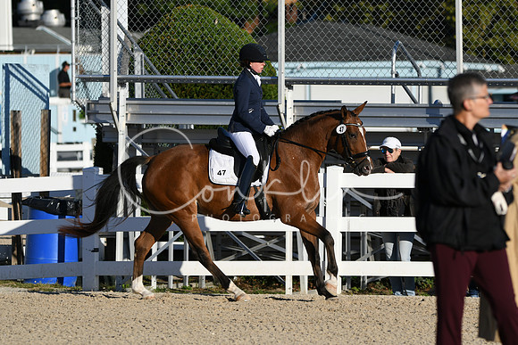 HSM_4272