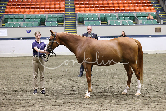 RJC39909