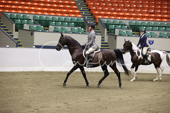 RJC33495
