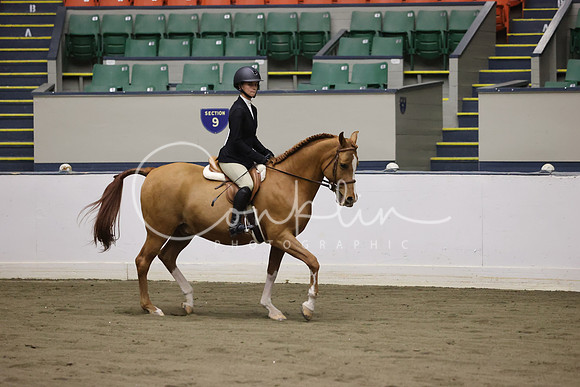 RJC34183