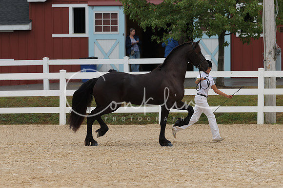HLK_3515