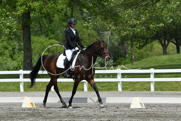 HSM_0447