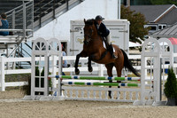 HSM_3166