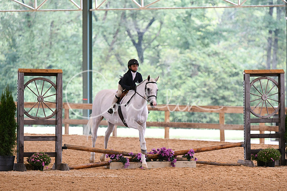 HSM_5915