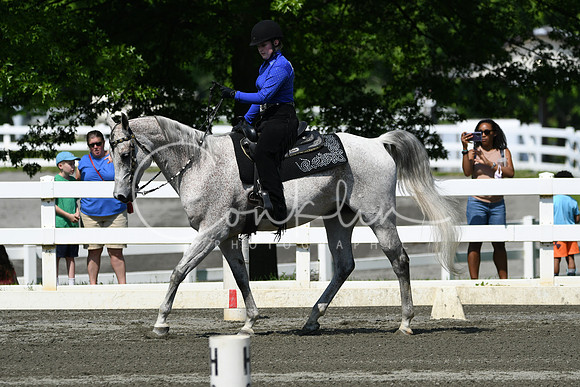 HSM_2719
