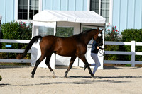 HSM_4354