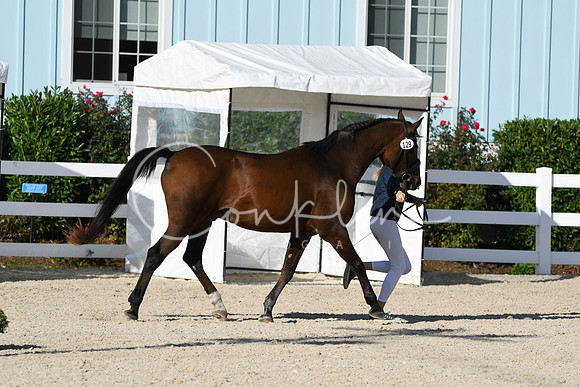HSM_4354