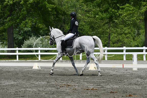 HSM_0495