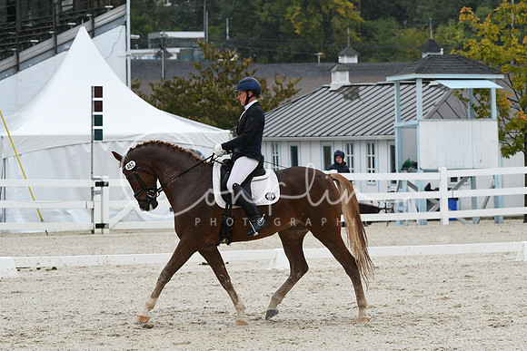 HSM_0533