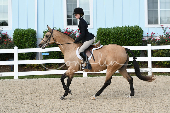 HSM_5527
