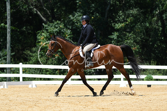 HSM_1341