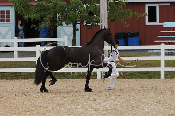 HLK_3516
