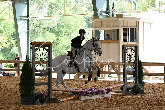 HSM_0038