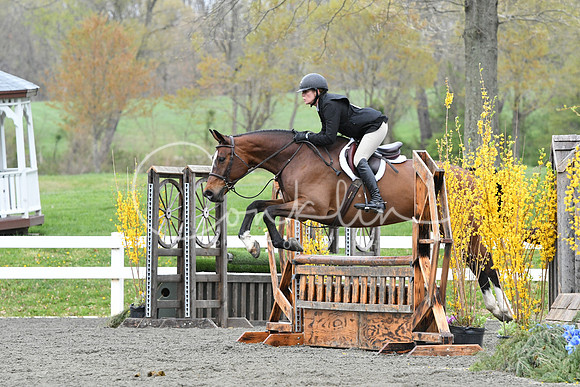 HSM_1288