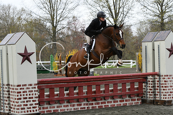 HSM_1393