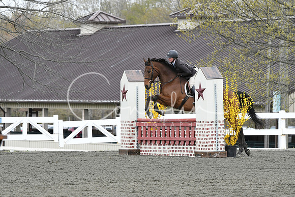 HSM_0019