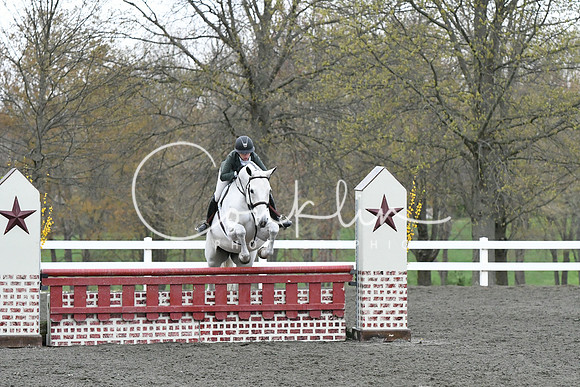 HSM_1597