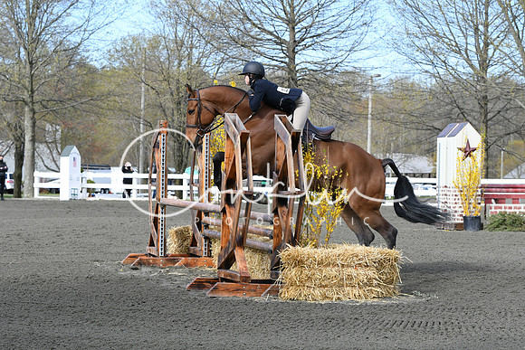 HSM_2059