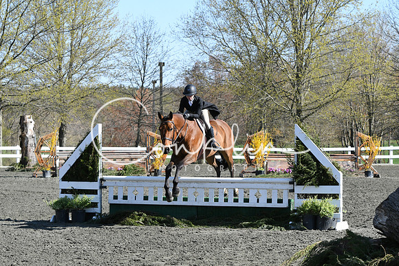 HSM_4461