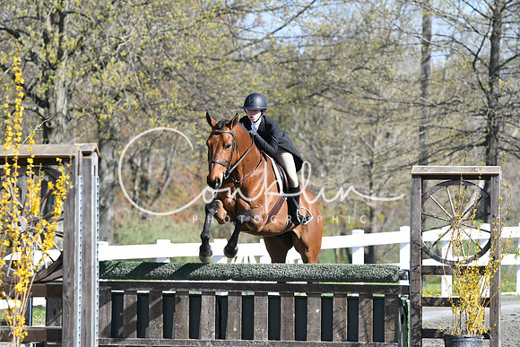 HSM_4466