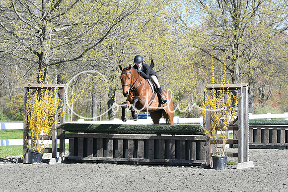 HSM_4468