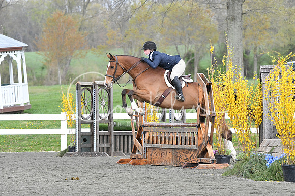 HSM_1128