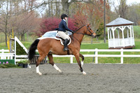 HSM_1173