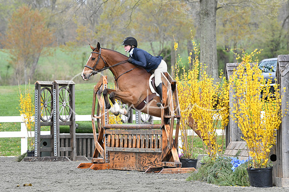 HSM_1181