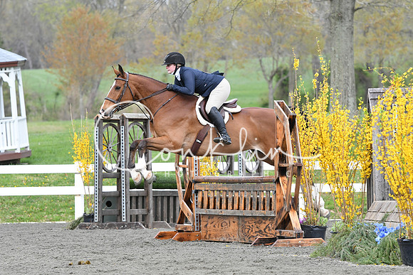 HSM_1182