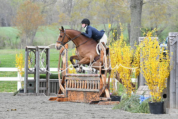 HSM_1214