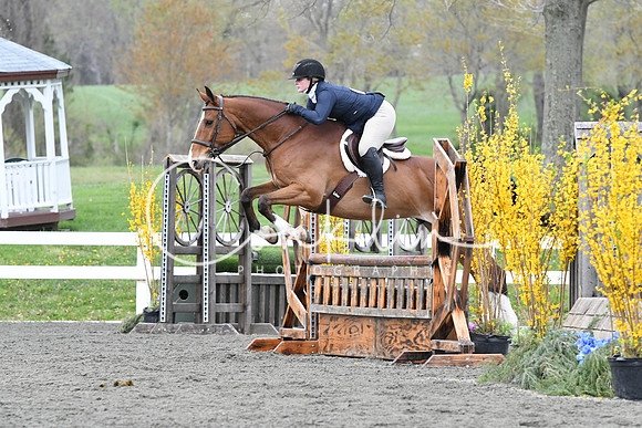 HSM_1215