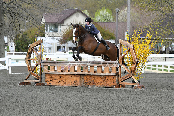 HSM_2822