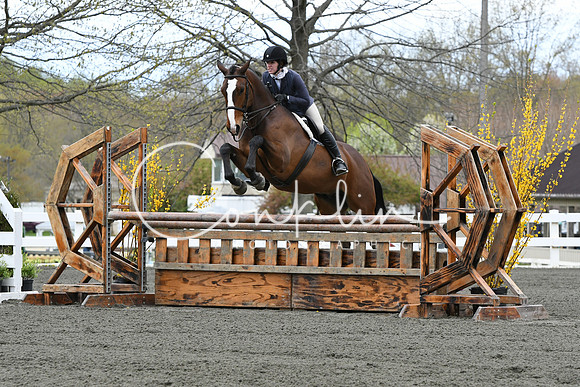 HSM_2979