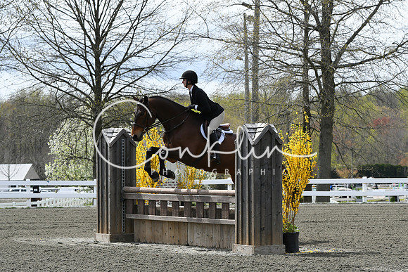 HSM_0590