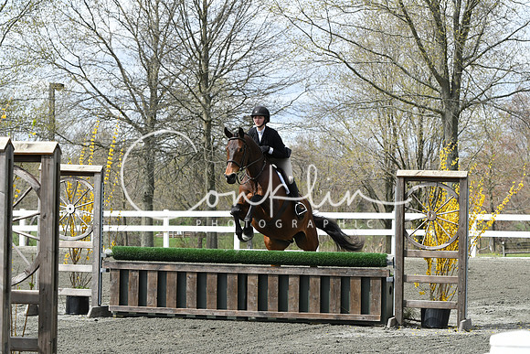 HSM_0594