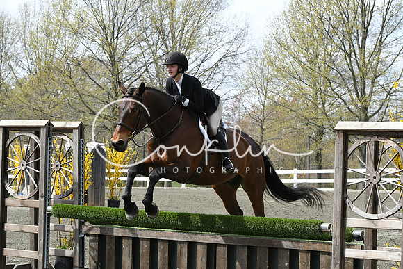 HSM_0597