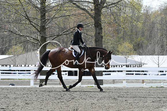 HSM_0599