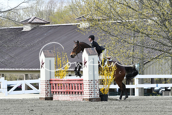 HSM_0639