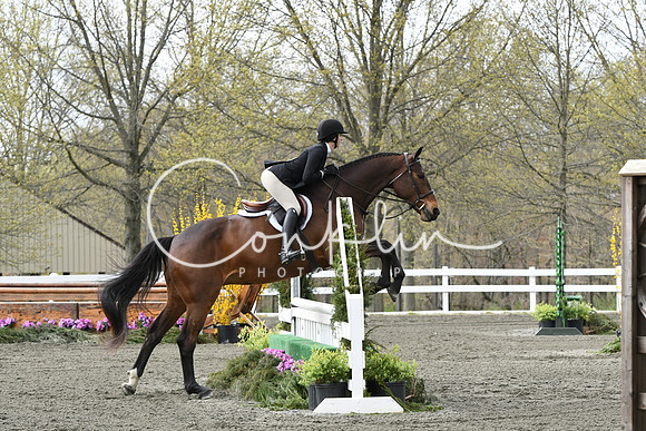 HSM_0774