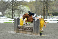 HSM_0246