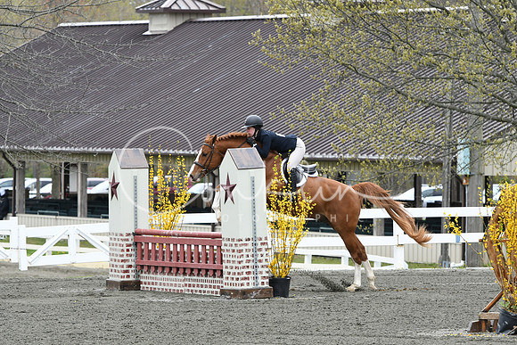 HSM_0251