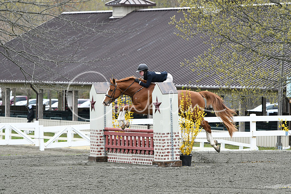 HSM_0252