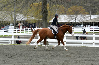 HSM_0261