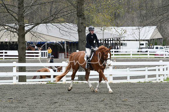HSM_0263